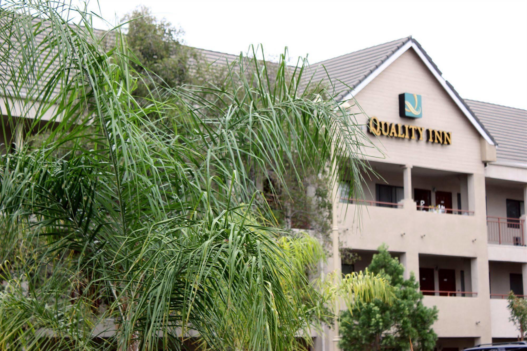 Quality Inn Temecula Valley Wine Country מראה חיצוני תמונה